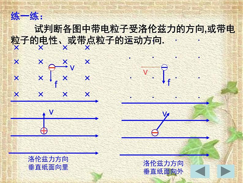 2022-2023年人教版(2019)新教材高中物理选择性必修2 第1章安培力与洛伦兹力第2节磁场对运动电荷的作用力(1)课件第7页