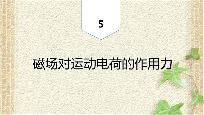 2022-2023年人教版(2019)新教材高中物理选择性必修2 第1章安培力与洛伦兹力第2节磁场对运动电荷的作用力(3)课件01