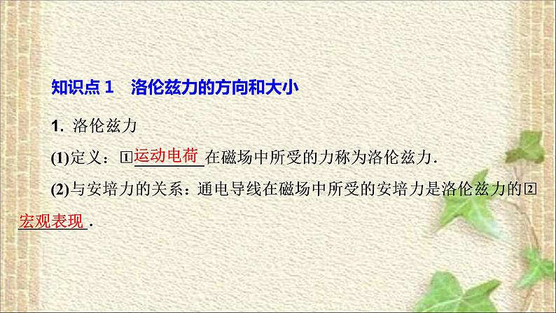 2022-2023年人教版(2019)新教材高中物理选择性必修2 第1章安培力与洛伦兹力第2节磁场对运动电荷的作用力(3)课件02