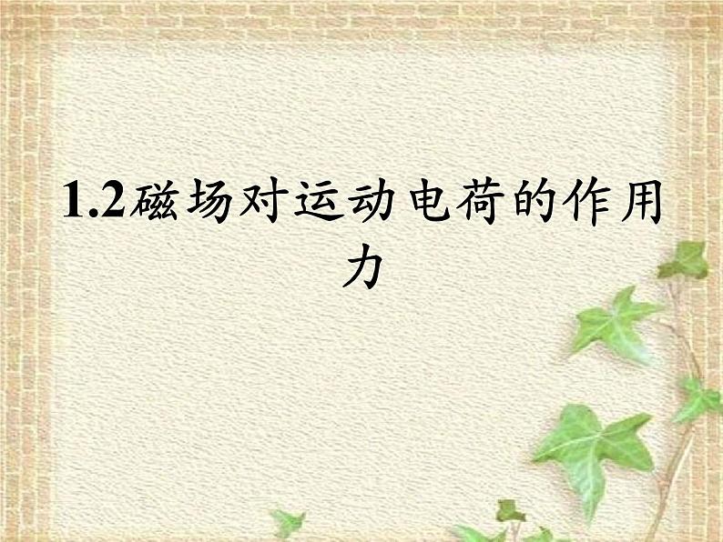 2022-2023年人教版(2019)新教材高中物理选择性必修2 第1章安培力与洛伦兹力第2节磁场对运动电荷的作用力(4)课件01