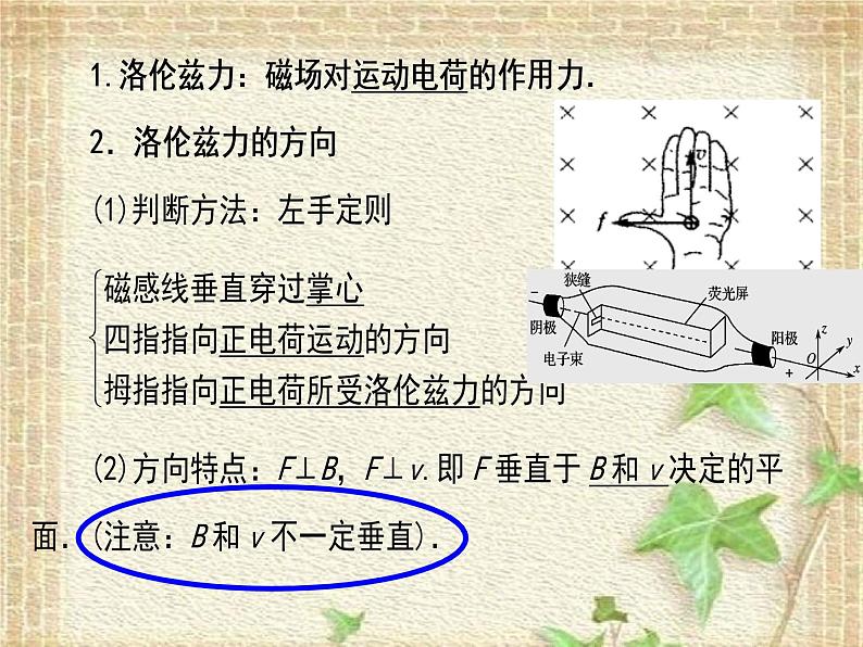 2022-2023年人教版(2019)新教材高中物理选择性必修2 第1章安培力与洛伦兹力第2节磁场对运动电荷的作用力(4)课件02