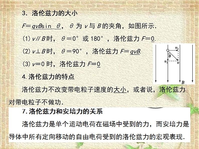 2022-2023年人教版(2019)新教材高中物理选择性必修2 第1章安培力与洛伦兹力第2节磁场对运动电荷的作用力(4)课件03