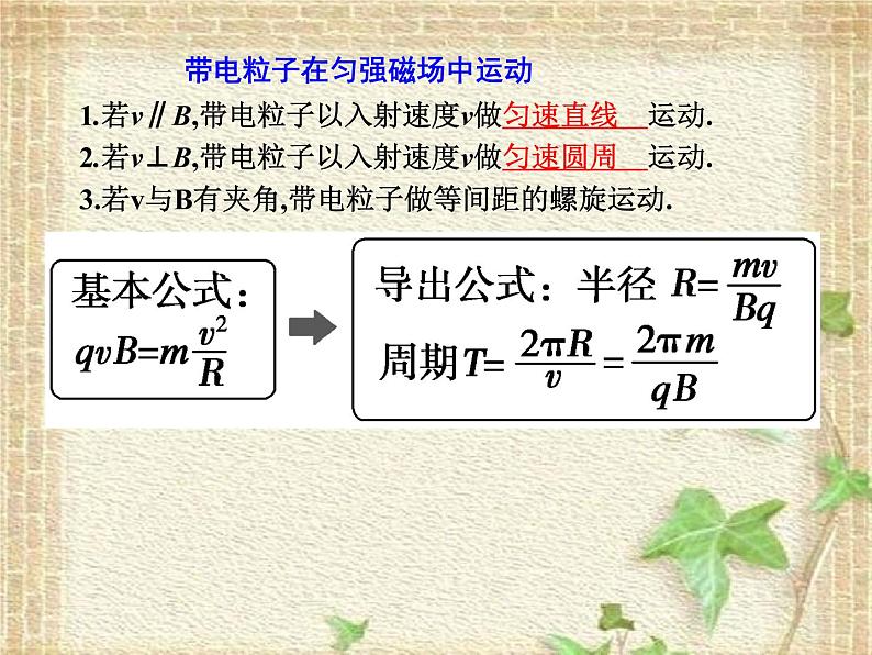 2022-2023年人教版(2019)新教材高中物理选择性必修2 第1章安培力与洛伦兹力第2节磁场对运动电荷的作用力(4)课件04