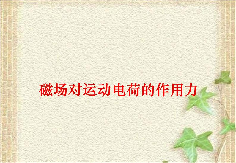 2022-2023年人教版(2019)新教材高中物理选择性必修2 第1章安培力与洛伦兹力第2节磁场对运动电荷的作用力(6)课件01