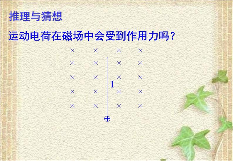 2022-2023年人教版(2019)新教材高中物理选择性必修2 第1章安培力与洛伦兹力第2节磁场对运动电荷的作用力(6)课件06