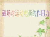 2022-2023年人教版(2019)新教材高中物理选择性必修2 第1章安培力与洛伦兹力第2节磁场对运动电荷的作用力(5)课件