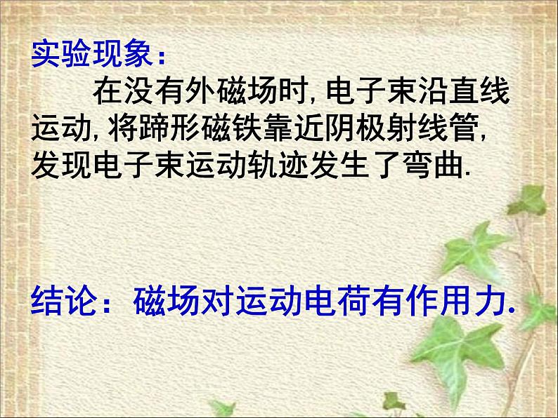 2022-2023年人教版(2019)新教材高中物理选择性必修2 第1章安培力与洛伦兹力第2节磁场对运动电荷的作用力(5)课件06