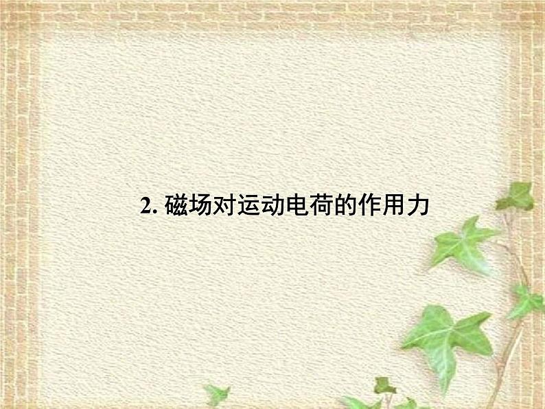 2022-2023年人教版(2019)新教材高中物理选择性必修2 第1章安培力与洛伦兹力第2节磁场对运动电荷的作用力课件01