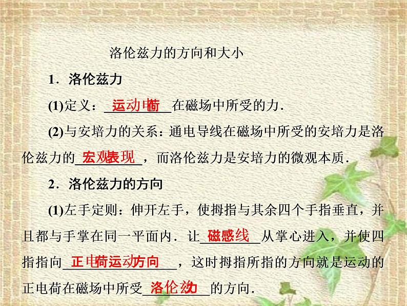 2022-2023年人教版(2019)新教材高中物理选择性必修2 第1章安培力与洛伦兹力第2节磁场对运动电荷的作用力课件02
