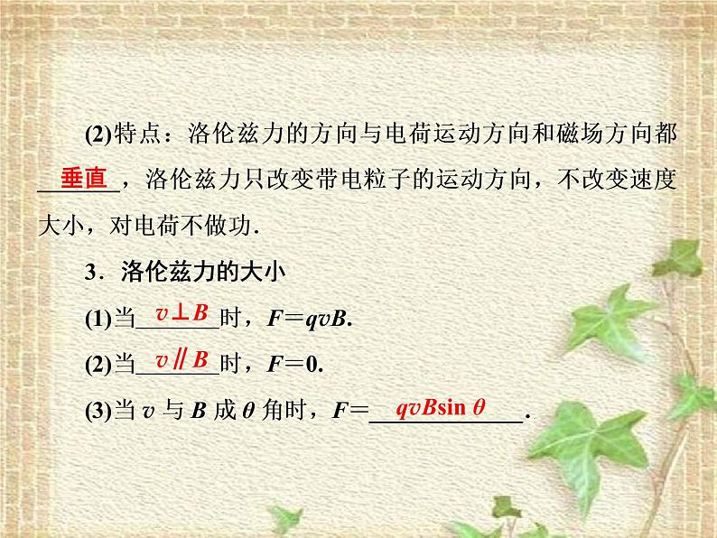 2022-2023年人教版(2019)新教材高中物理选择性必修2 第1章安培力与洛伦兹力第2节磁场对运动电荷的作用力课件03