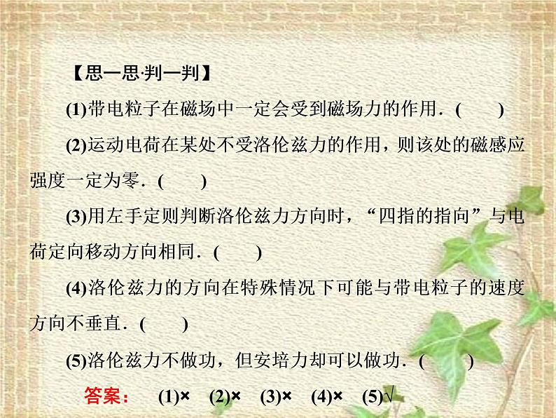 2022-2023年人教版(2019)新教材高中物理选择性必修2 第1章安培力与洛伦兹力第2节磁场对运动电荷的作用力课件06