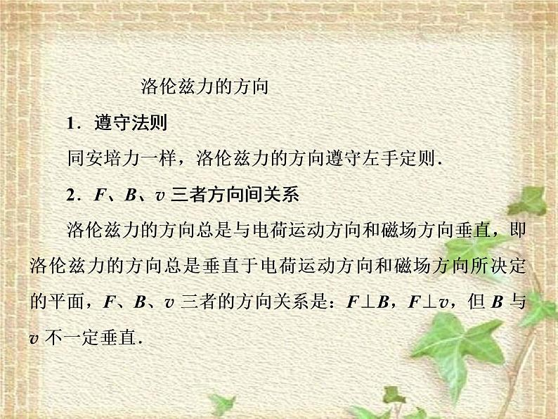 2022-2023年人教版(2019)新教材高中物理选择性必修2 第1章安培力与洛伦兹力第2节磁场对运动电荷的作用力课件07