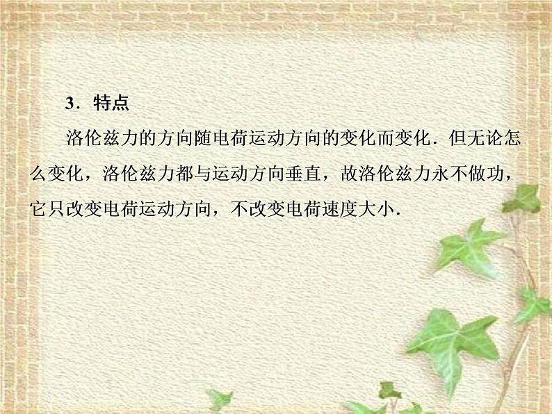 2022-2023年人教版(2019)新教材高中物理选择性必修2 第1章安培力与洛伦兹力第2节磁场对运动电荷的作用力课件08