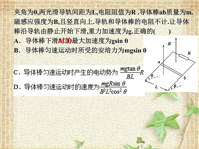 2022-2023年人教版(2019)新教材高中物理选择性必修2 第2章电磁感应第2节法拉第电磁感应定律(3)课件第1页