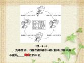 2022-2023年人教版(2019)新教材高中物理选择性必修2 第3章交变电流第1节交变电流(3)课件