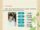 2022-2023年人教版(2019)新教材高中物理选择性必修2 第5章传感器第1节认识传感器(6)课件