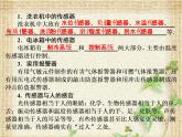 2022-2023年人教版(2019)新教材高中物理选择性必修2 第5章传感器第2节常见传感器的工作原理及应用(2)课件