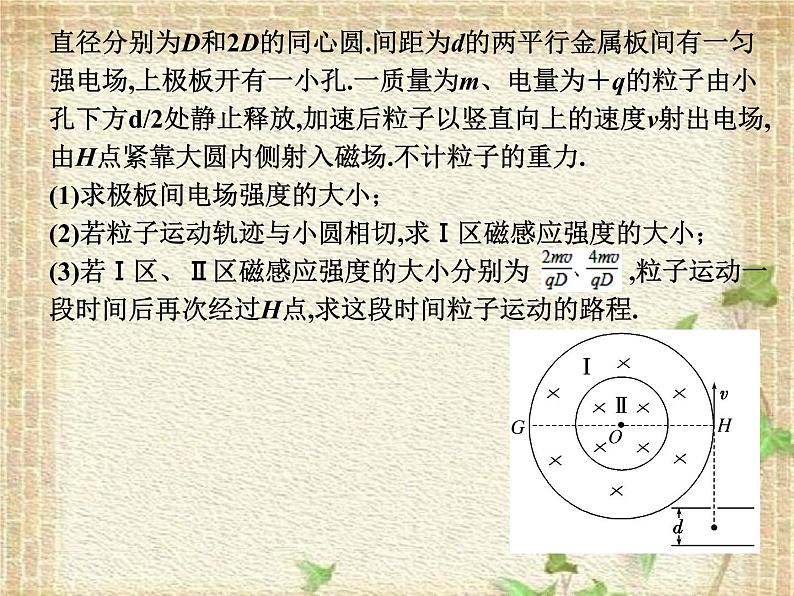 2022-2023年人教版(2019)新教材高中物理选择性必修2 第1章安培力与洛伦兹力章末综合课件第4页