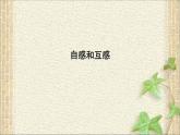 2022-2023年人教版(2019)新教材高中物理选择性必修2 第2章电磁感应第4节自感和互感(2)课件