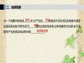 2022-2023年人教版(2019)新教材高中物理选择性必修2 第2章电磁感应第4节自感和互感(3)课件