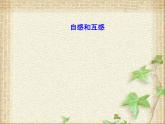 2022-2023年人教版(2019)新教材高中物理选择性必修2 第2章电磁感应第4节自感和互感(5)课件