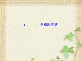 2022-2023年人教版(2019)新教材高中物理选择性必修2 第2章电磁感应第4节自感和互感课件