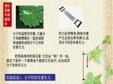 2022-2023年人教版(2019)新教材高中物理选择性必修3 第1章分子动理论第4节分子动能和分子势能(1)课件