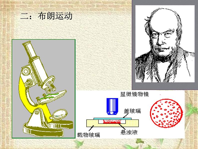 2022-2023年人教版(2019)新教材高中物理选择性必修3 第1章分子动理论第1节分子动理论的基本内容(2)课件第4页