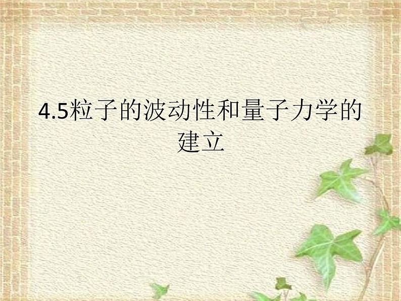 2022-2023年人教版(2019)新教材高中物理选择性必修3 第4章原子结构和波粒二象性第5节粒子的波动性和量子力学的建立(2)课件第1页