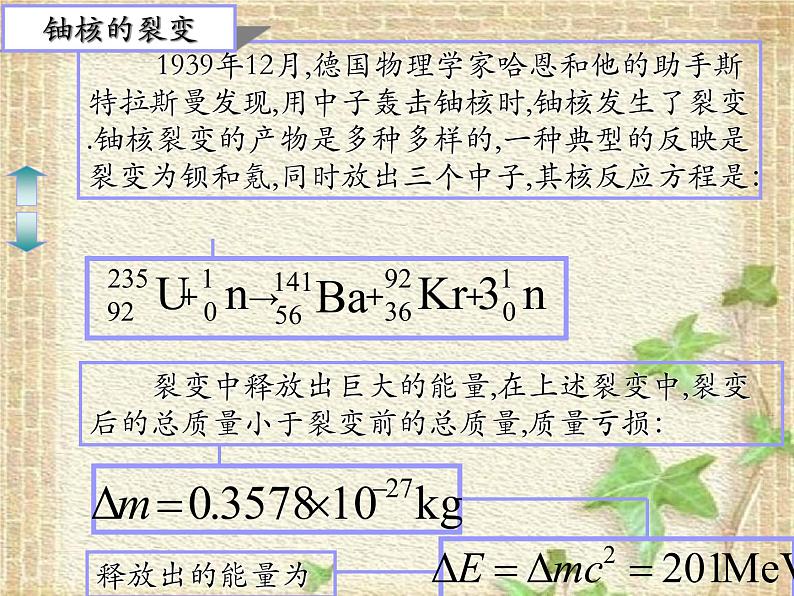 2022-2023年人教版(2019)新教材高中物理选择性必修3 第5章原子核第4节核裂变与核聚变(2)课件06