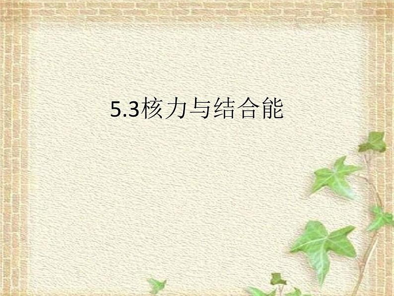 2022-2023年人教版(2019)新教材高中物理选择性必修3 第5章原子核第3节核力与结合能课件01