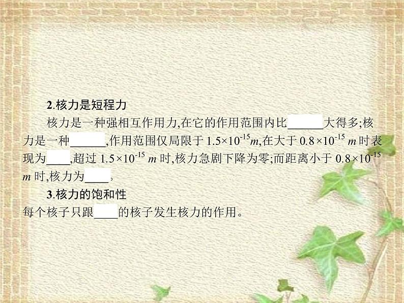 2022-2023年人教版(2019)新教材高中物理选择性必修3 第5章原子核第3节核力与结合能课件03