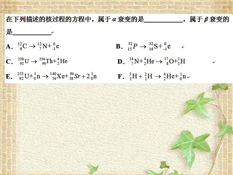 2022-2023年人教版(2019)新教材高中物理选择性必修3 第5章原子核第1节原子核的组成课件第6页