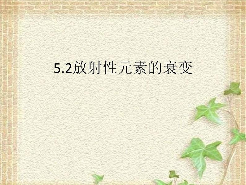 2022-2023年人教版(2019)新教材高中物理选择性必修3 第5章原子核第2节放射性元素的衰变(2)课件01