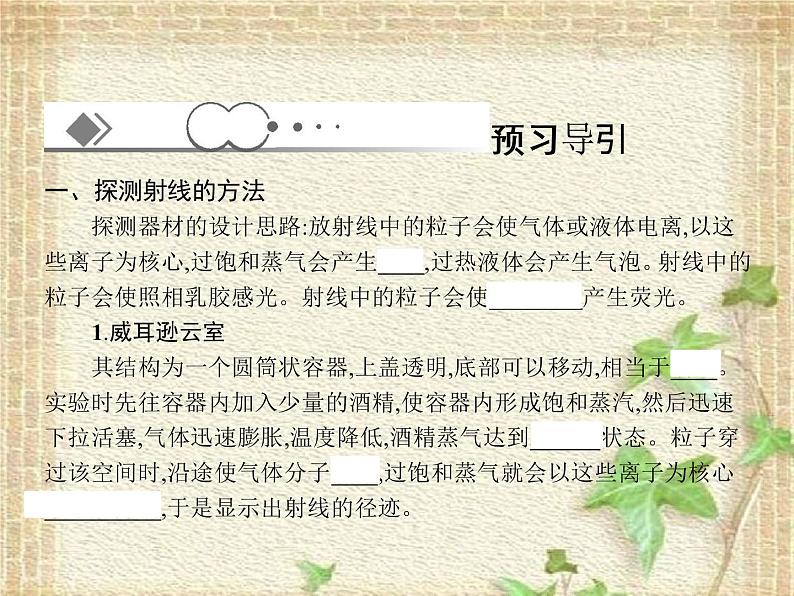 2022-2023年人教版(2019)新教材高中物理选择性必修3 第5章原子核第2节放射性元素的衰变(2)课件02