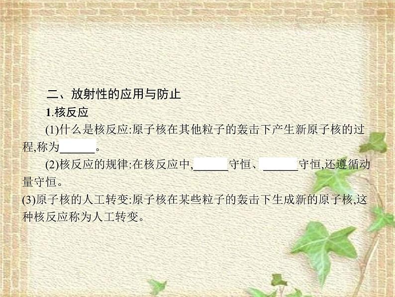 2022-2023年人教版(2019)新教材高中物理选择性必修3 第5章原子核第2节放射性元素的衰变(2)课件06