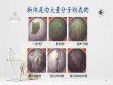1.1分子動(dòng)理論的基本內(nèi)容課件 高二下學(xué)期物理人教版（2019）選擇性必修第三冊