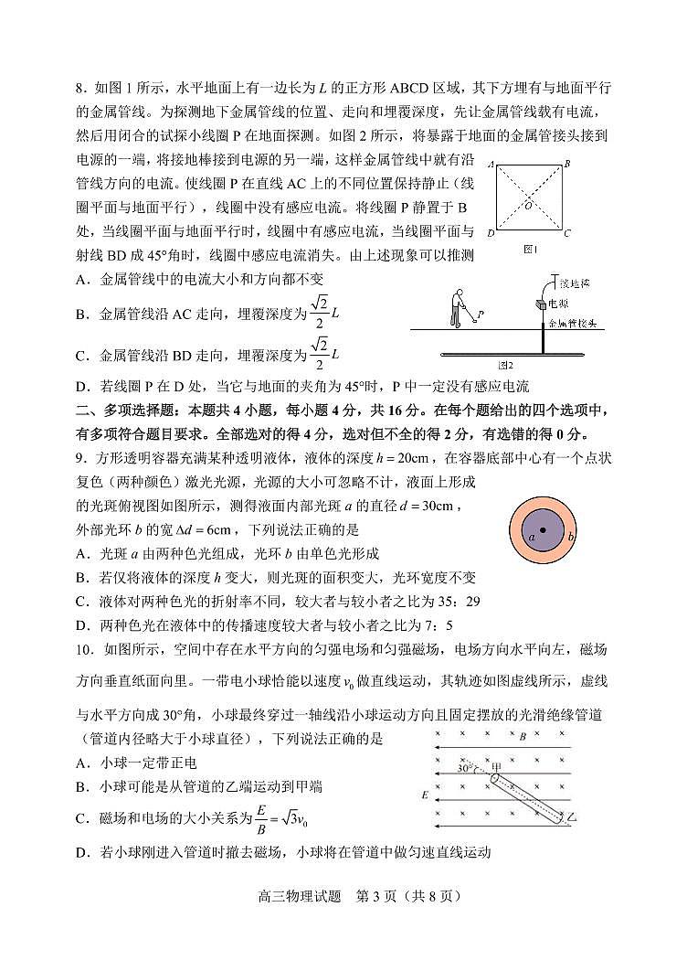 2021届山东省淄博市高三下学期5月仿真考试（三模）物理试题 PDF版03