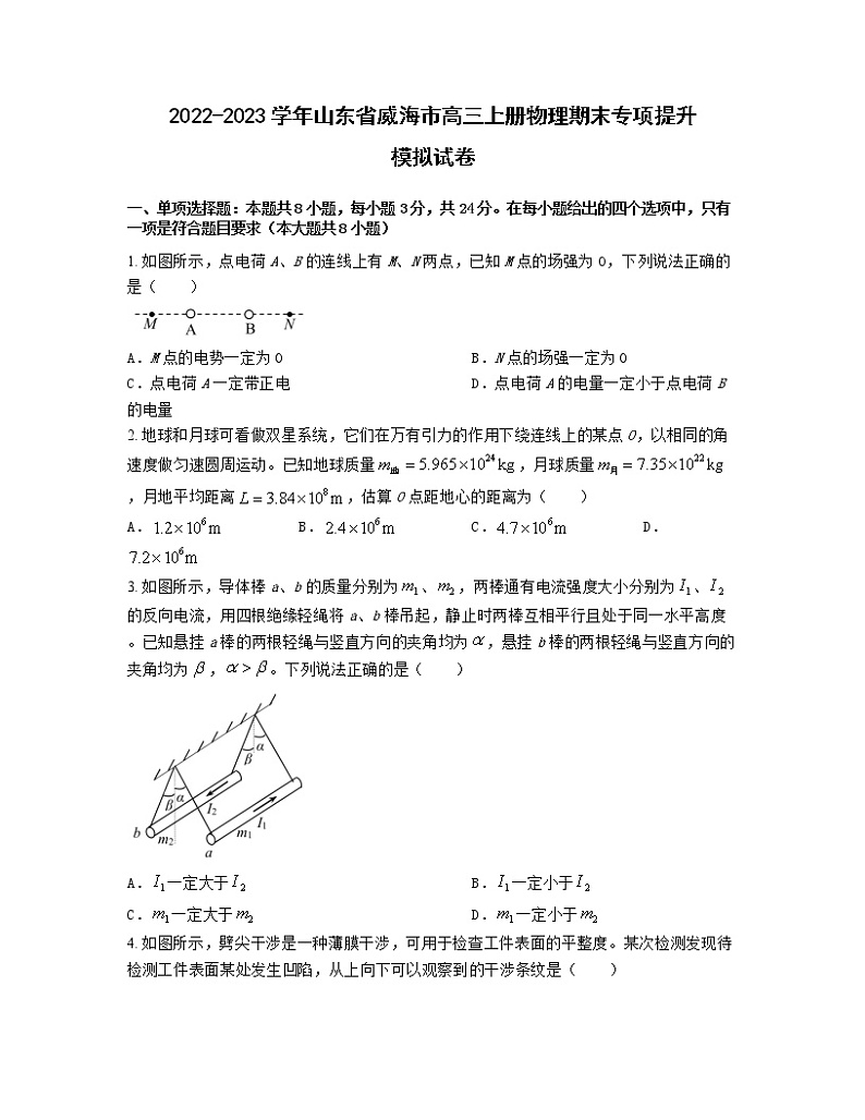 2022-2023学年山东省威海市高三上册物理期末专项提升模拟试卷（含解析）第1页
