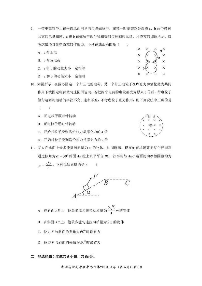2022-2023学年湖北省高三新高考联考协作体高三上学期期末考试物理试题PDF版含答案03