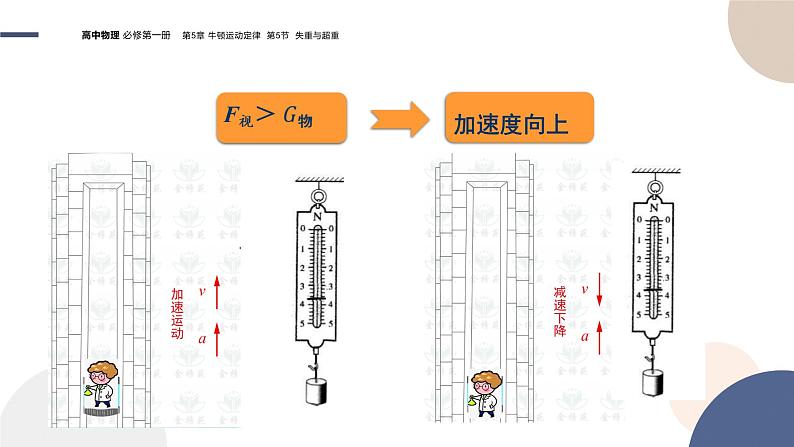 物理-山东科技版-必修第一册-5.5 超重与失重（课件PPT）06