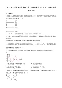 2022-2023学年辽宁省沈阳市育才中学四校高三上学期1月联合质检 物理（word版）