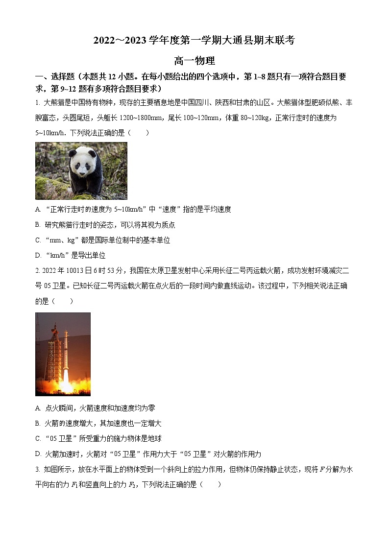 2023西宁大通回族土族自治县高一上学期期末物理试题含解析01