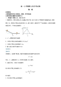 2022-2023学年安徽省桐城中学高一上学期第二次月考物理试题（解析版）