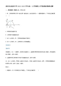 2022-2023学年河南省禹州市高级中学高一上学期线上学情调查物理试题含解析