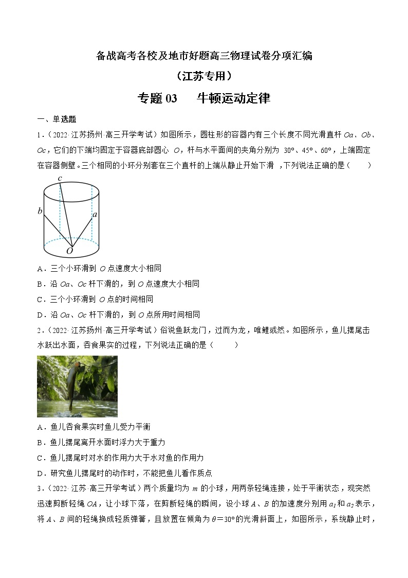 专题03   牛顿运动定律—— 备战高考各校及地市好题高三物理试卷分项汇编（江苏专用）01