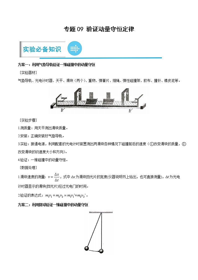 专题09 验证动量守恒定律——【备考2023】高考物理实验题专项精讲精练学案（原卷版+解析版）01