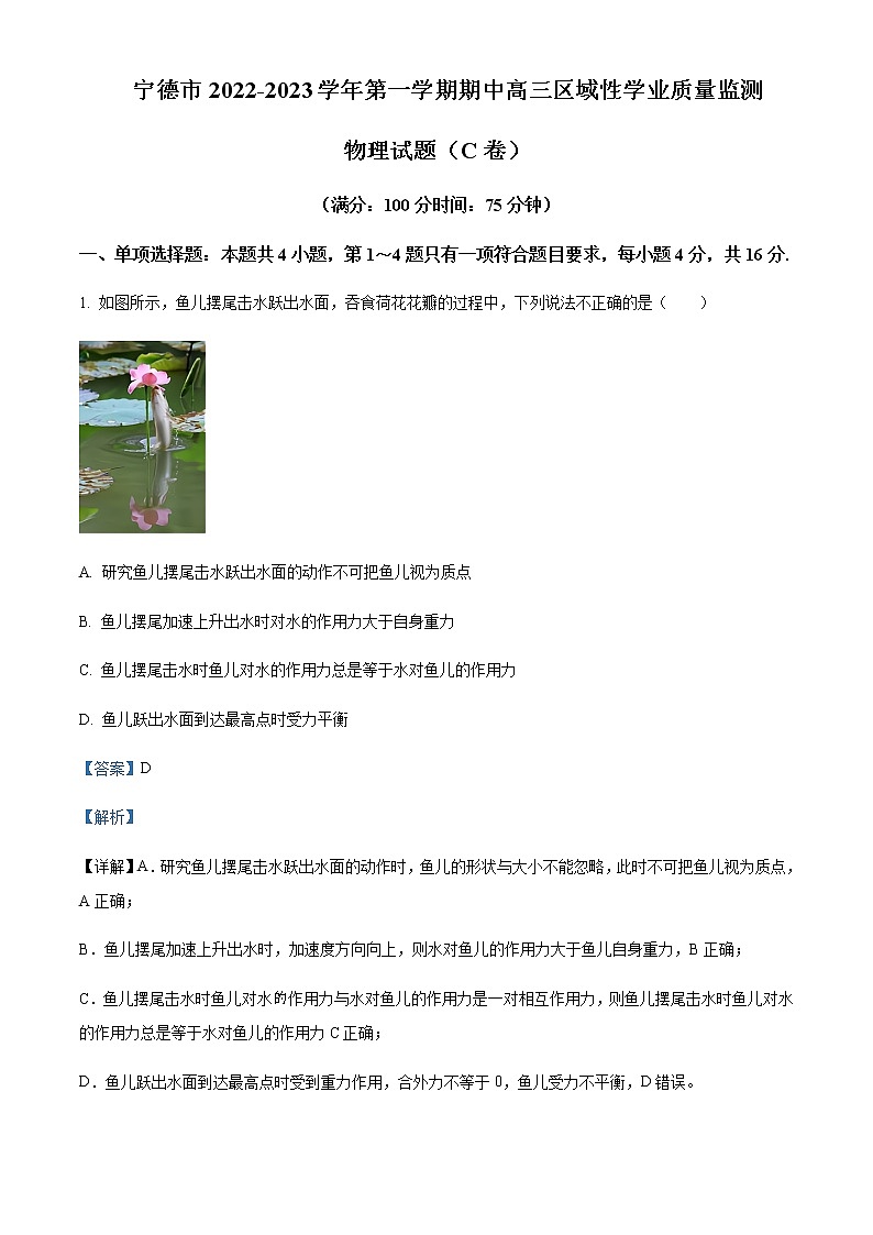 2022-2023学年福建省宁德市高三上学期期中区域性学业质量检测物理试题（C卷）含解析01