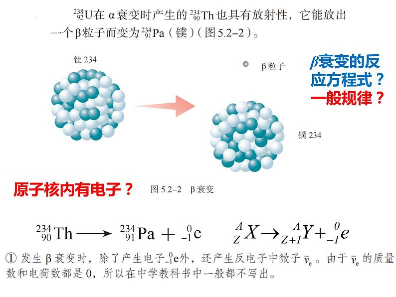 第五章第二节 放射性元素的衰变 课件  高二下学期物理人教版（2019）选择性必修第三册 (1)05