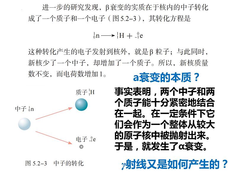 第五章第二节 放射性元素的衰变 课件  高二下学期物理人教版（2019）选择性必修第三册 (1)06